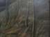 Bild von Gemälde Waldrand Landschaft mit jungem Reh / Rehbock, Öl/Leinwand, gerahmt